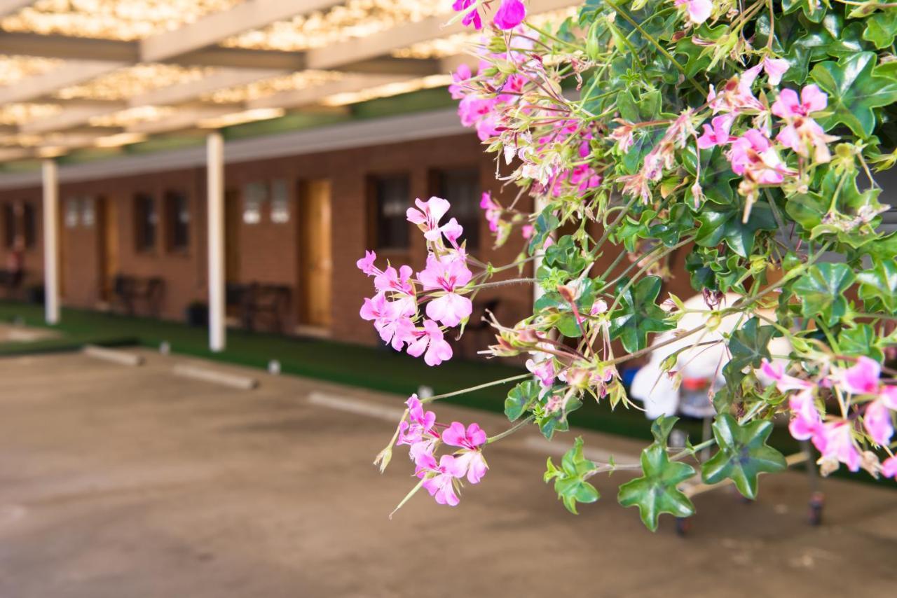 Elm Court Motel Albury Buitenkant foto